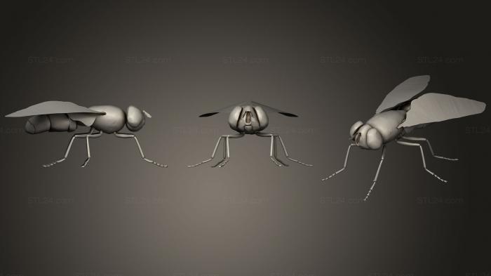 Insects (FLY LOWPOLY, INSCT_0008) 3D models for cnc